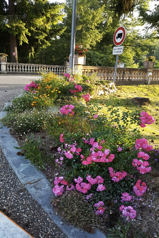 Massif fleuri Saint-Pardoux-la-Rivière