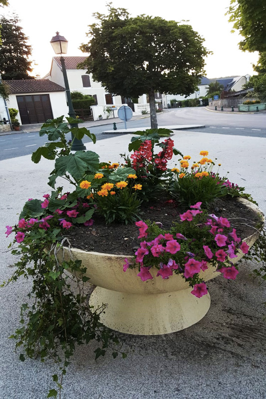 Fleurissement du village de Saint-Pardoux-la-RIvière