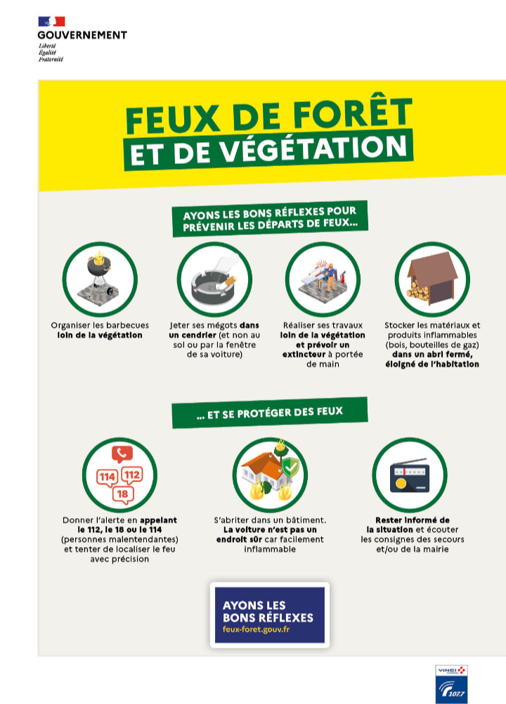 feu de forêt 2